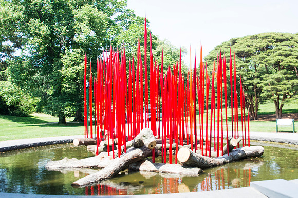 Dale Chihuly - Red Reeds on Logs - 2016