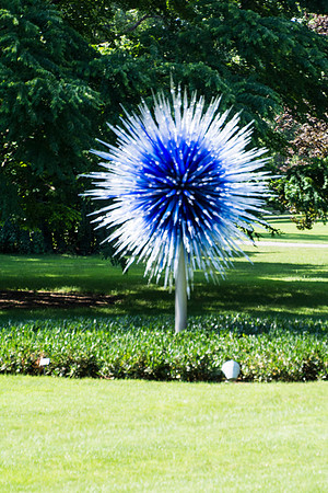 Dale Chihuly Saffire Star - 2010