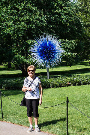Dale Chihuly Saffire Star - 2010