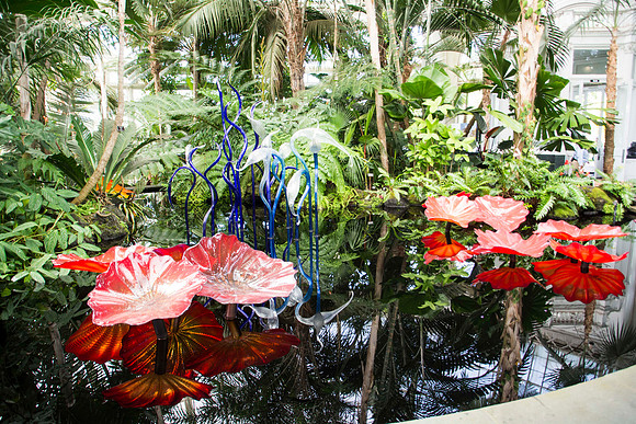 Dale Chihuly - Persian Pond and Fiori - 2017